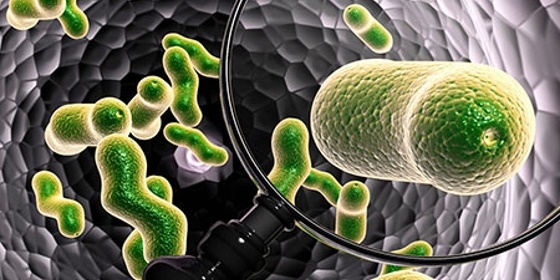 Taxas de resistência de microrganismos aos antibióticos diminuíram
