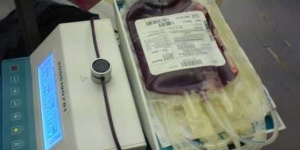 Dadores de sangue nos Açores passam a ter estatuto próprio a partir de amanhã