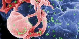ONU quer acabar com pandemia de sida até 2030
