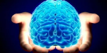 Seminário: ESSSM analisa contributo da Enfermagem na saúde mental