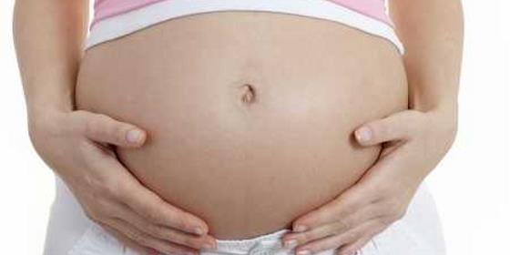 Faltam dadores de óvulos e espermatozoides