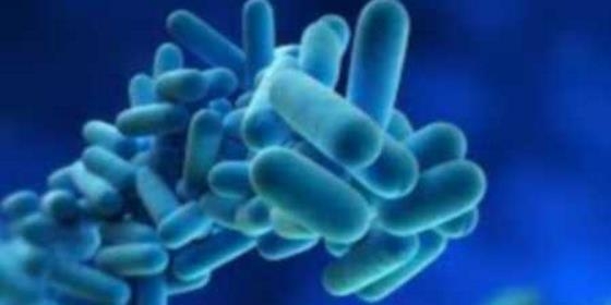 Enfermeiros preocupados com &#039;legionella&#039; e incertezas na Régua