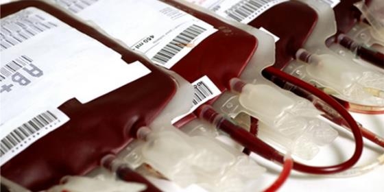 Parlamento dos Açores aprova estatuto do dador de sangue na região