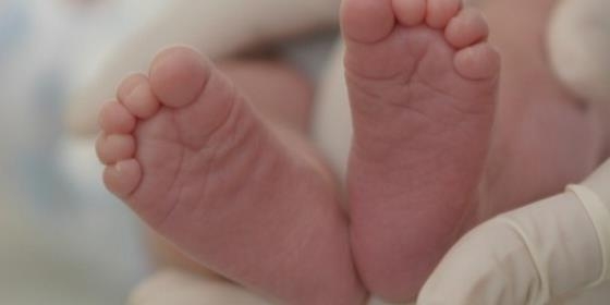 Enfermagem ao domicílio ajuda mães e bebés em Vila Real