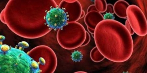 Liga Portuguesa Contra a sida realiza rastreios gratuitos em Lisboa