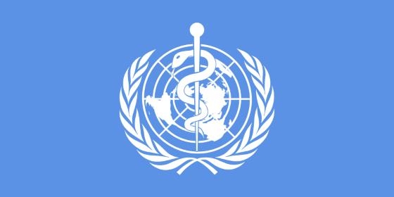 Organização Mundial da Saúde impreparada para lidar com surtos como Ébola