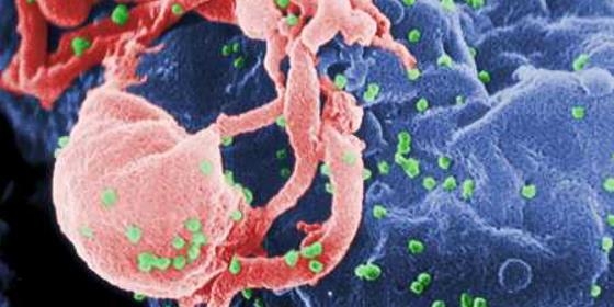 Novos casos de infeção pelo VIH diminuíram 17,3% em 2014