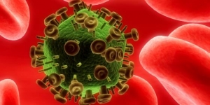 Investigação liderada por português avança no estudo de vacina contra a sida