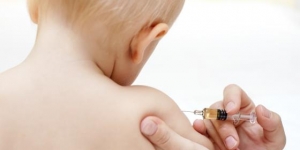 Vacinação da BCG em falta desde março deverá ser retomada &quot;a qualquer momento&quot;