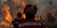 Ordem defende integração de enfermeiros na Proteção Civil